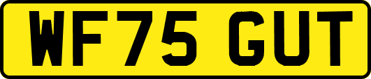 WF75GUT