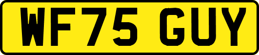 WF75GUY