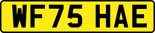 WF75HAE