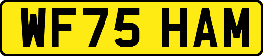 WF75HAM