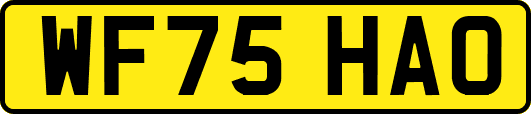 WF75HAO