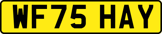WF75HAY