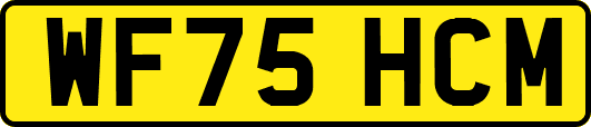 WF75HCM