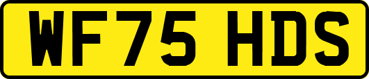 WF75HDS