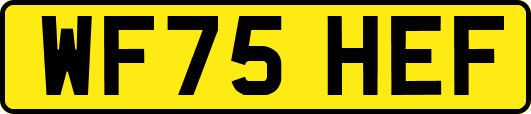 WF75HEF