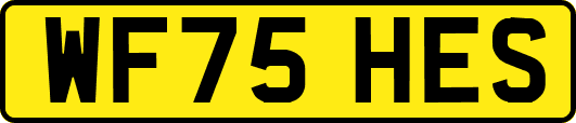 WF75HES