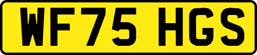 WF75HGS