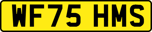 WF75HMS