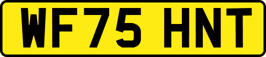 WF75HNT