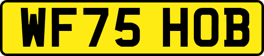 WF75HOB