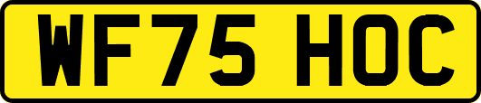 WF75HOC
