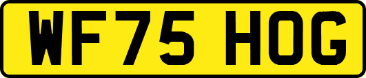 WF75HOG