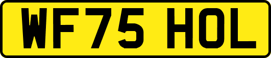 WF75HOL