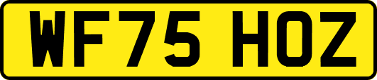WF75HOZ