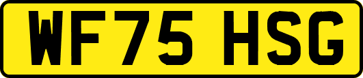 WF75HSG