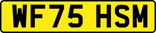 WF75HSM