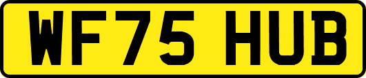 WF75HUB