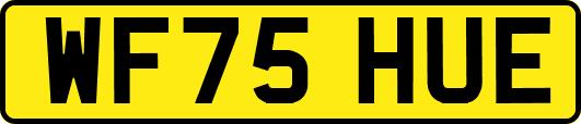 WF75HUE