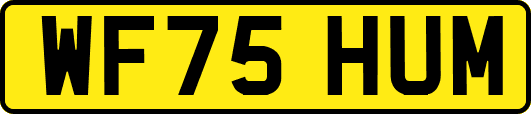 WF75HUM