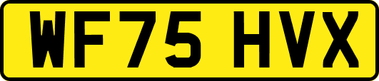 WF75HVX