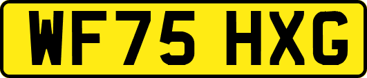 WF75HXG