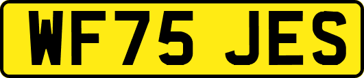 WF75JES