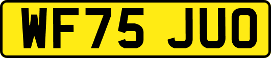 WF75JUO