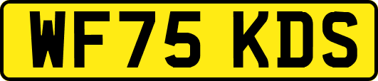WF75KDS