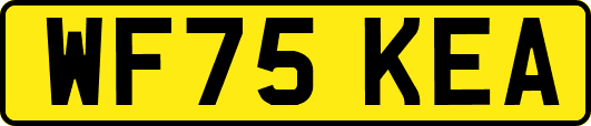WF75KEA
