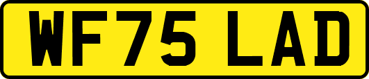 WF75LAD