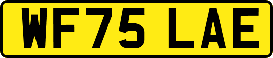 WF75LAE