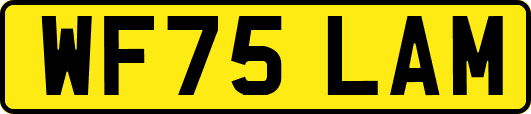 WF75LAM