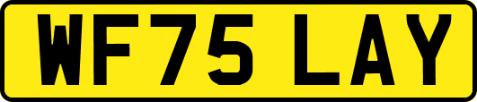 WF75LAY