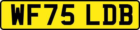WF75LDB