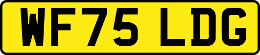WF75LDG