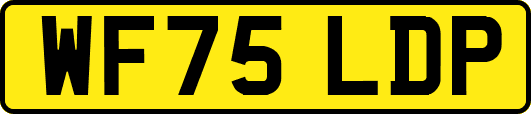 WF75LDP