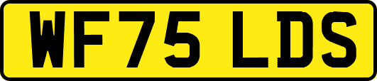 WF75LDS