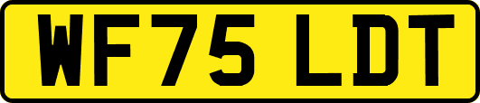 WF75LDT
