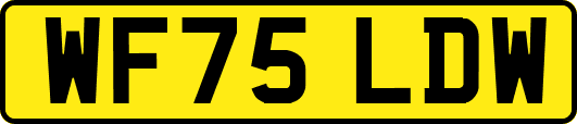 WF75LDW