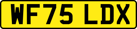 WF75LDX