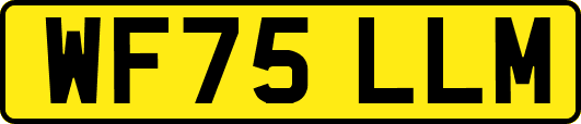 WF75LLM