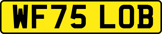 WF75LOB