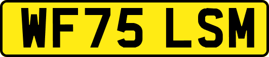 WF75LSM