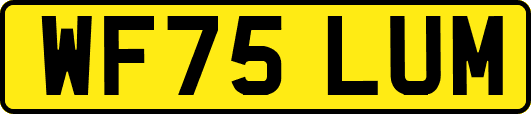 WF75LUM