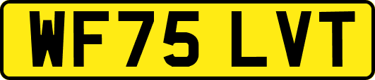 WF75LVT