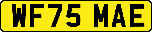 WF75MAE