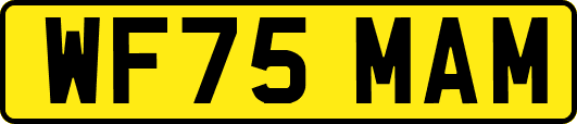 WF75MAM