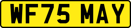 WF75MAY