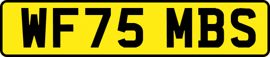 WF75MBS