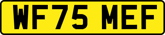 WF75MEF